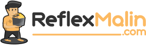 Logo ReflexMalin